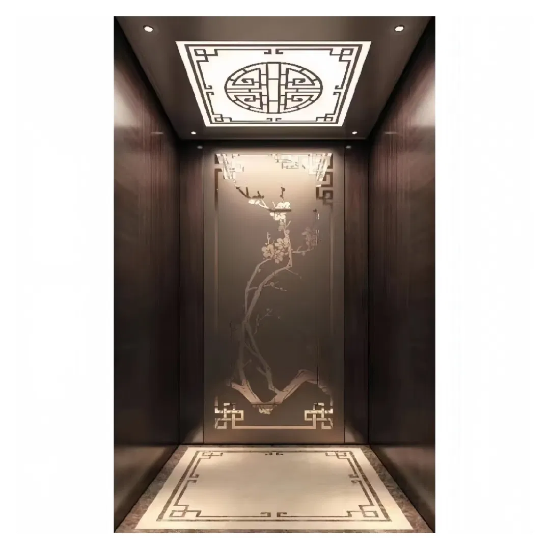 Fujivista Home Lift Elevator for 3 Floor Villa Small Residential Elevator