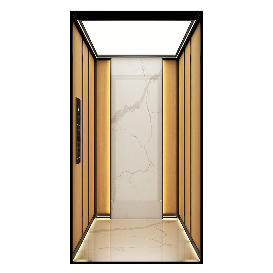 Space-Saving Machine-Room-Less Low-Pit Customized Design Home Villa Elevator