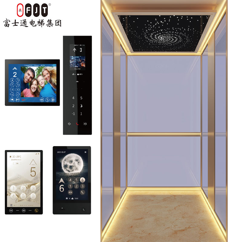 International Certified Home Lift with Small Shaftless Machine Room Features Home Use