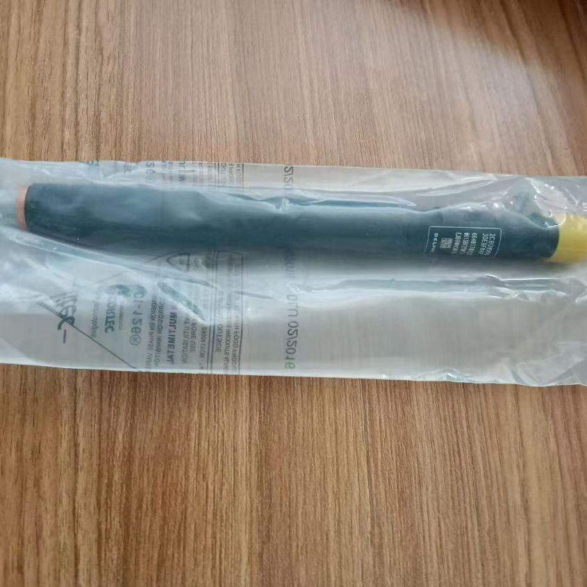 Auto Parts Fuel Injector Nozzle Ssangyong Motor Engine Parts 6640170121 Ejbr04501d