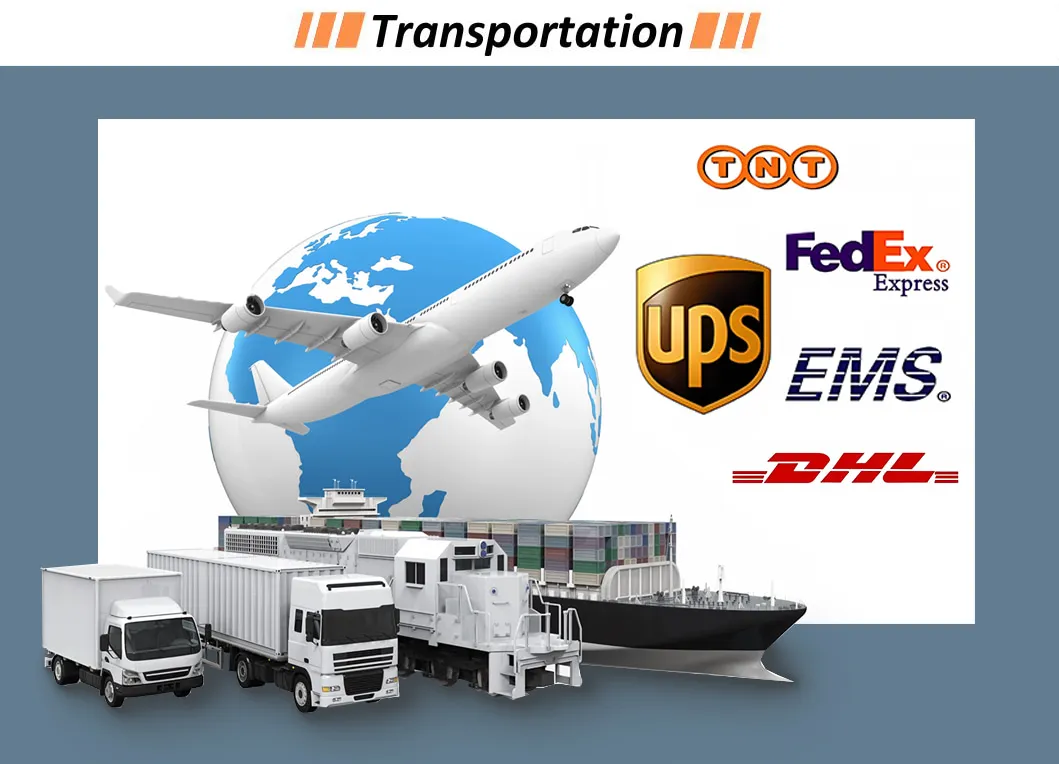 Shipping Logistics