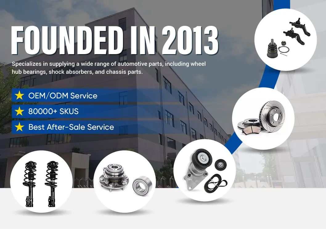 Shock Absorber Overview