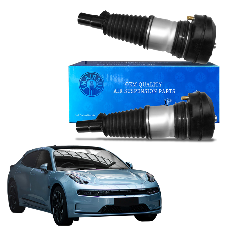 6600138569 6600138562 Suspension Shock Absorber for Zeekr 001 Wholesale EV Auto Parts OE Quality Damper
