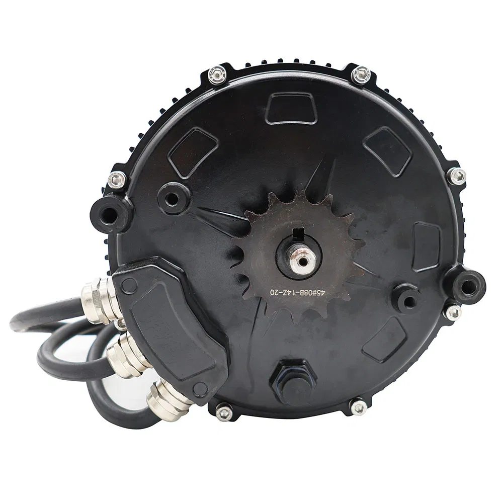 168 Structure Permanent Magnet Synchronous MID Drive Motor for Electric Dirt Bike