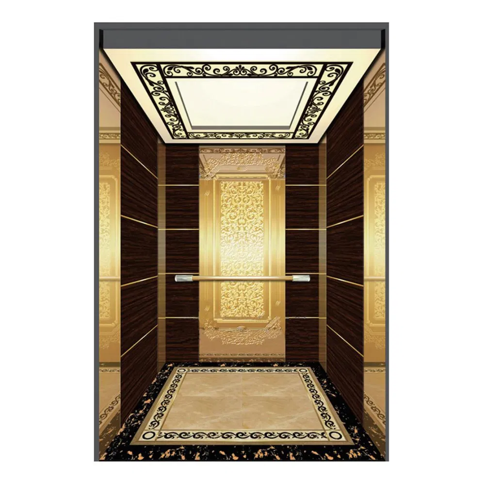 External Outside Passenger Elevator in China