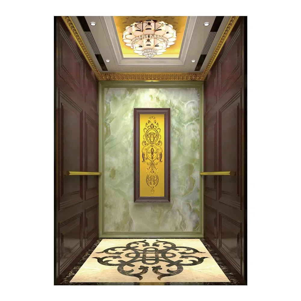 Small Home/ Villa Elevator for 4 Person Passenger Elevator