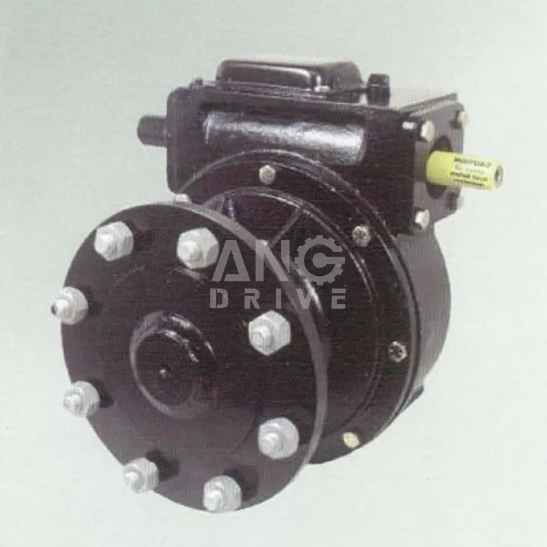 Irrigation Gear Motor 2
