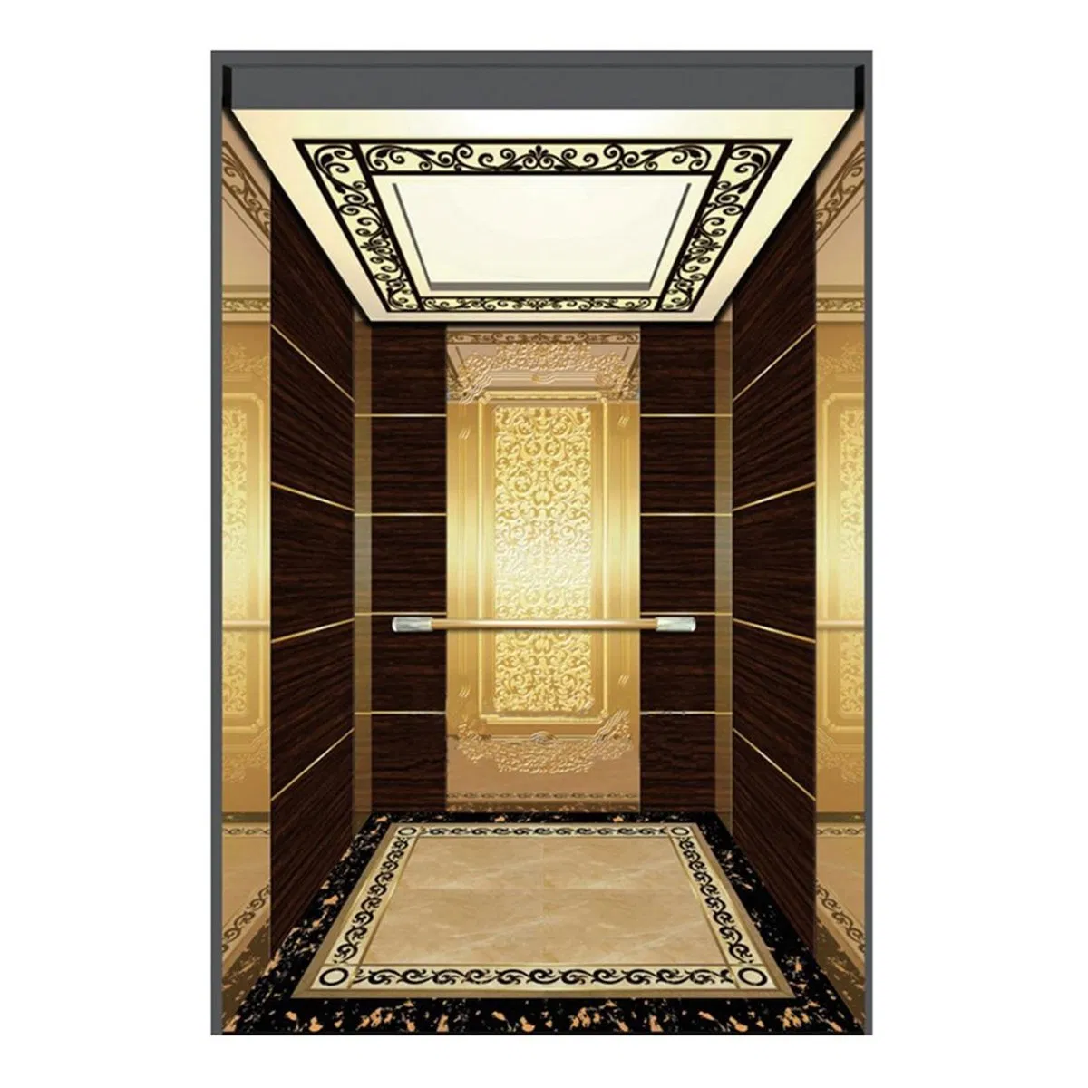 Small Home/ Villa Elevator for 4 Person Passenger Elevator