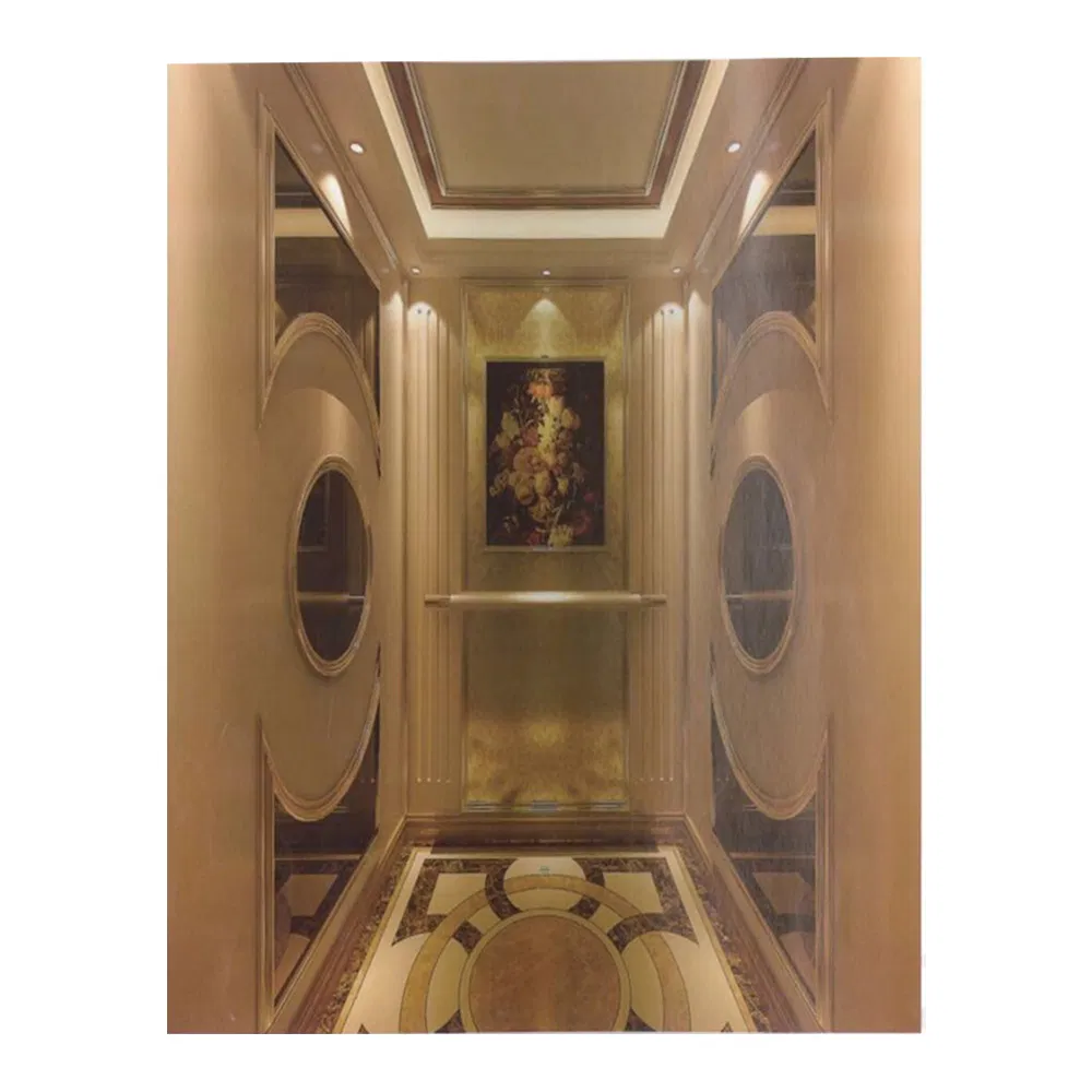 Cheap Outdoor Lift Hotel Elevators Price Small Elevator for 2 Person