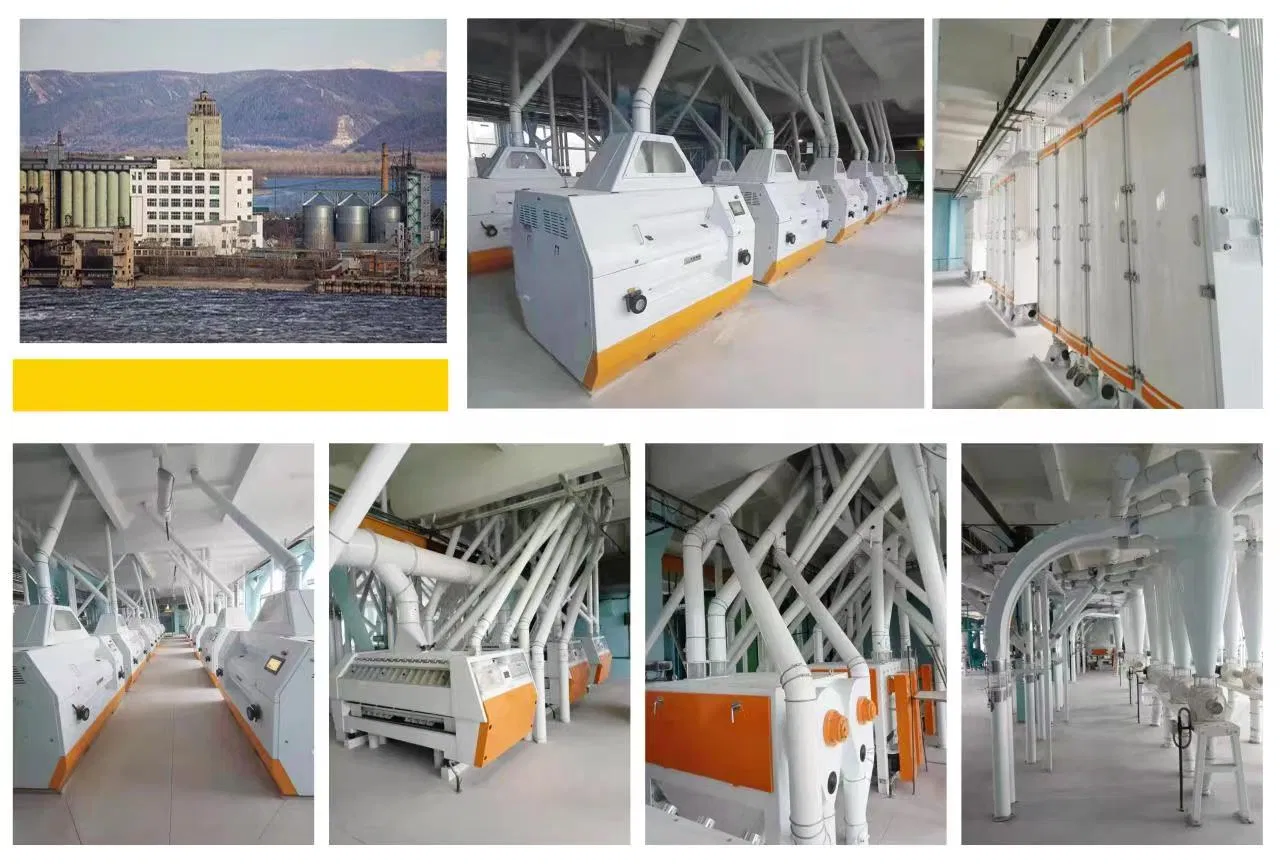 Advanced Low-Carbon Wheat Processing Line with Regenerative Braking