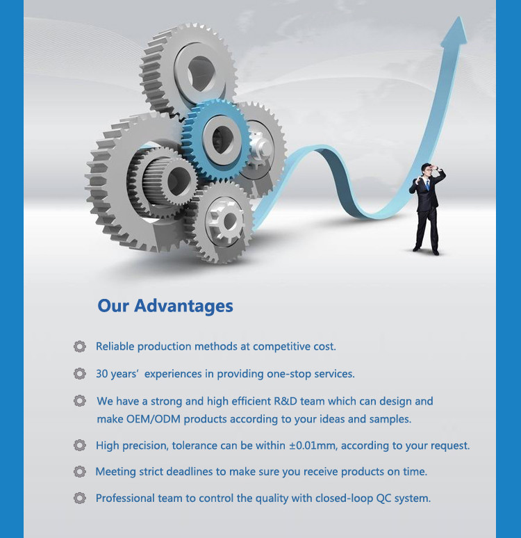 Company Profile View 3