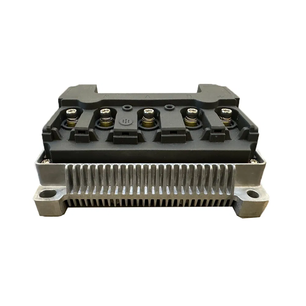 Performance-Driven Compact Size IP65 Waterproof Pmsm Motor Controller with Silky Smooth Start