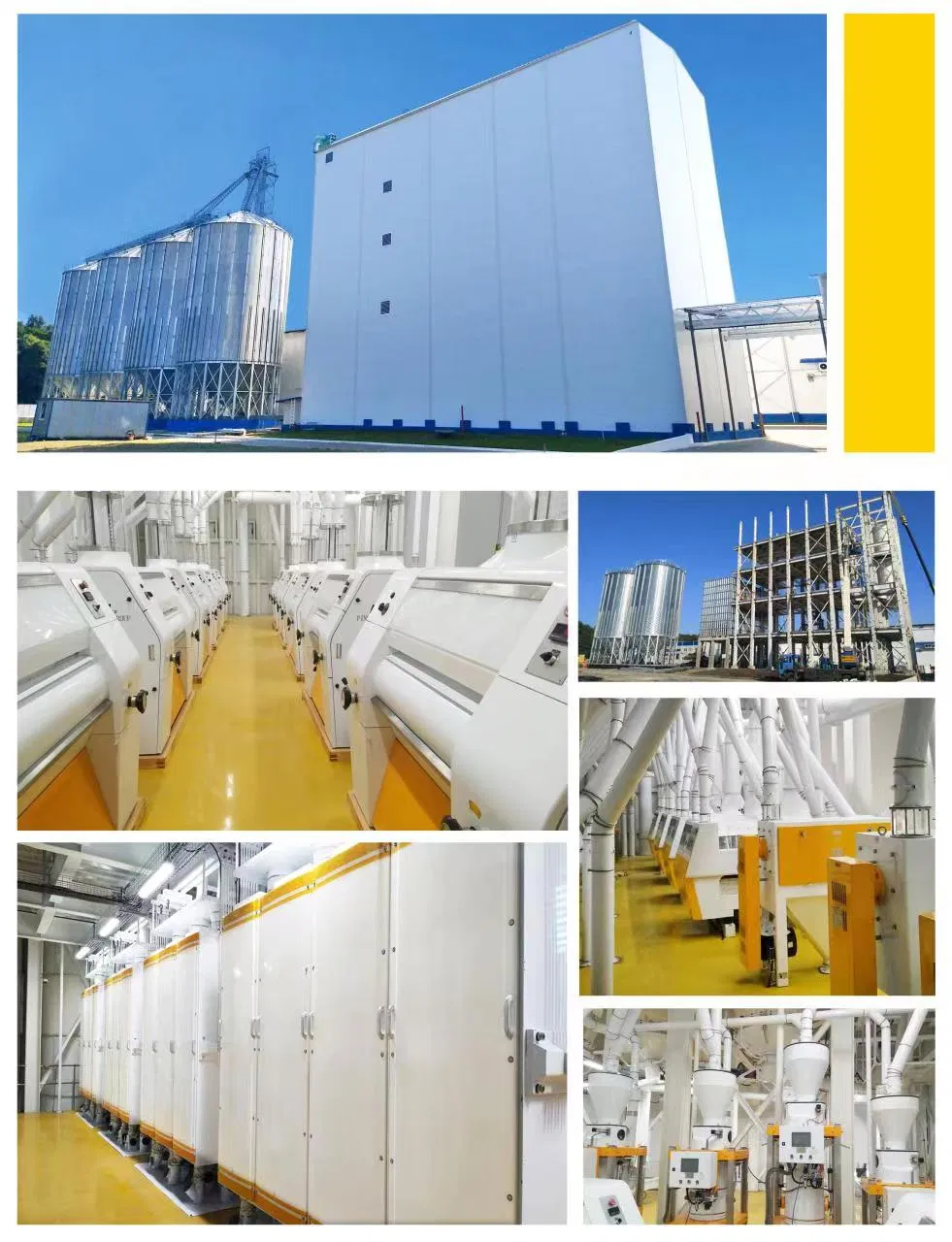 Advanced Low-Carbon Wheat Processing Line with Regenerative Braking