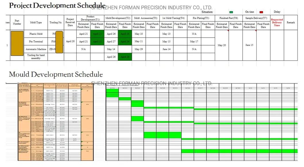 Development Schedule