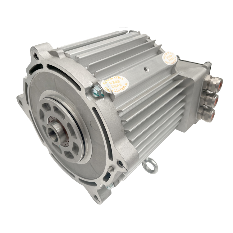 Ev Drivetrain 30kw 160kw Car Motor Kit 10-18m Electric Bus Pmsm Powertrain System