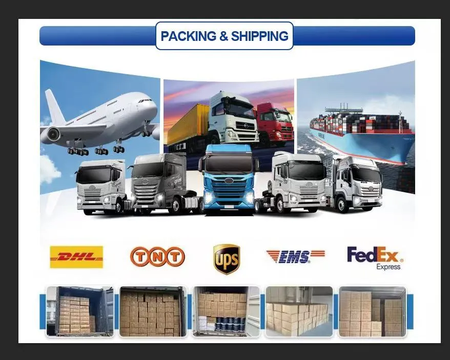 Packaging and Logistic Delivery