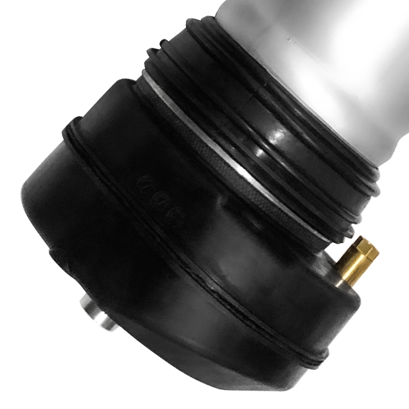 6600138569 6600138562 Suspension Shock Absorber for Zeekr 001 Wholesale EV Auto Parts OE Quality Damper