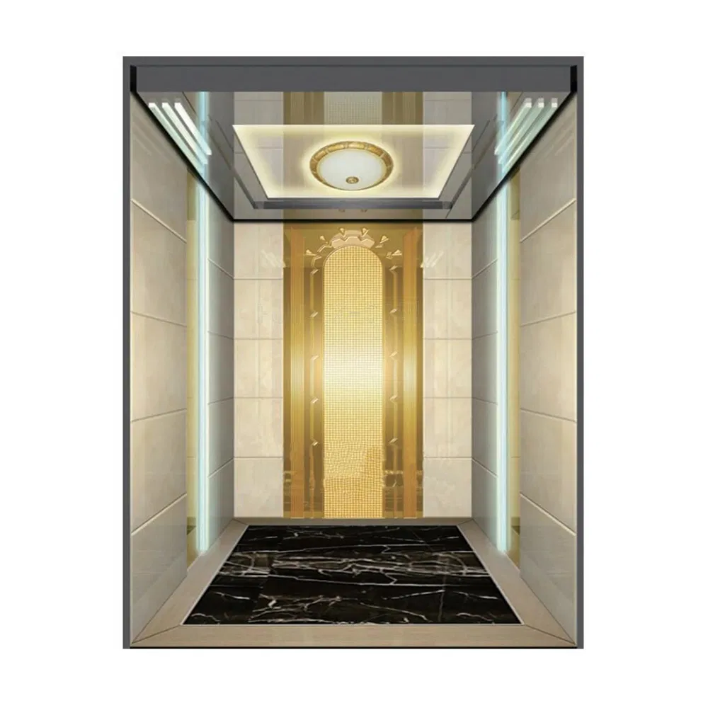 Small Home/ Villa Elevator for 4 Person Passenger Elevator