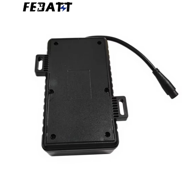 Portable EV Battery ECU VCU 3.7V 1200mAh Electric Vehicle Motorcycle Suitable for Korea Market