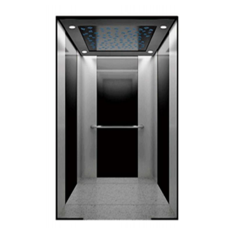 Small Home/ Villa Elevator for 4 Person Passenger Elevator