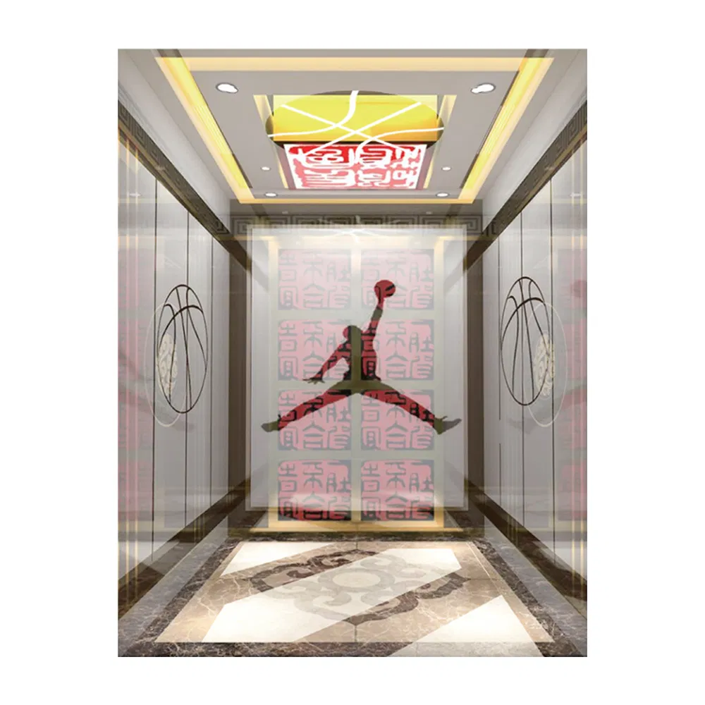 Cheap Outdoor Lift Hotel Elevators Price Small Elevator for 2 Person