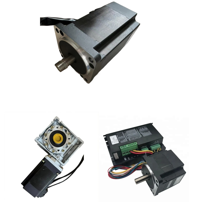 Electric Brushed Brushless DC Motor 12V 24V 36V 48V 220V 100 200 500 Watt Electrical BLDC Planetary Worm Gear Drive 12 24 36 48 Volt 50W 100W 200W 300W 1000W