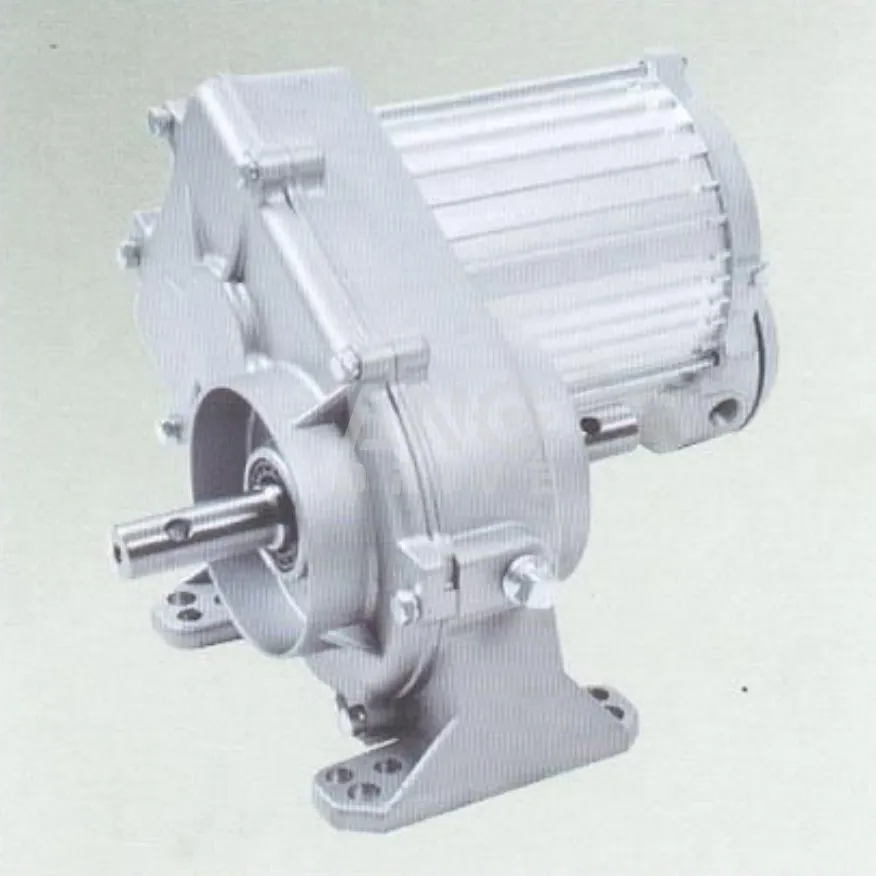 Irrigation Gear Motor 1