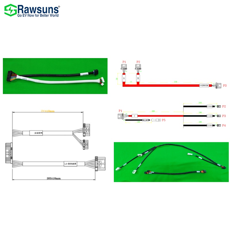 Rawsuns Electric Vehicle Wiring Harness PDU 12channel Control Digital Output Inverter EV Conversion Kit Power Distribute Unit
