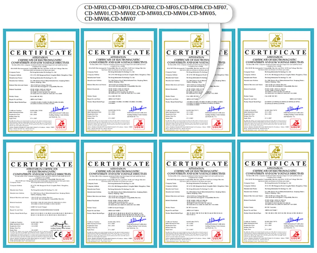 Certifications for 2 in 1 Integrated 3.3kw on Board Charger+1kw DC DC Converter