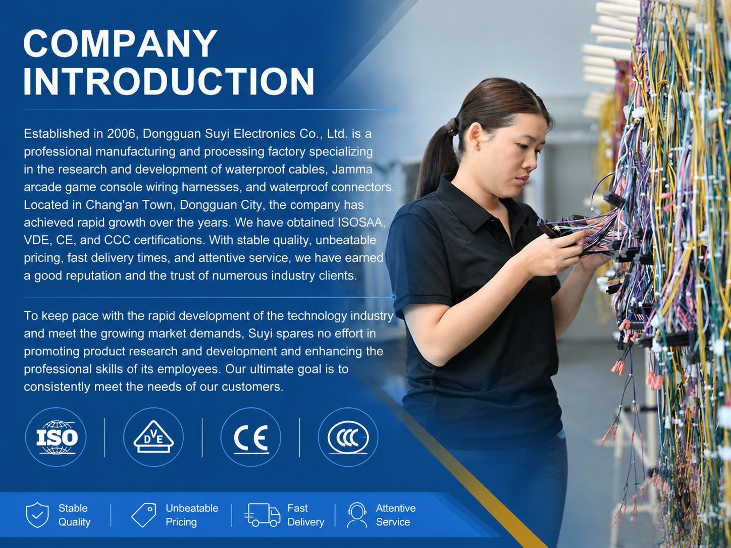 Company Profile