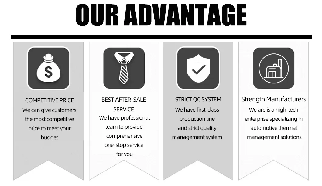 Our Advantages
