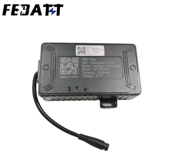 Portable EV Battery ECU VCU 3.7V 1200mAh Electric Vehicle Motorcycle Suitable for Korea Market