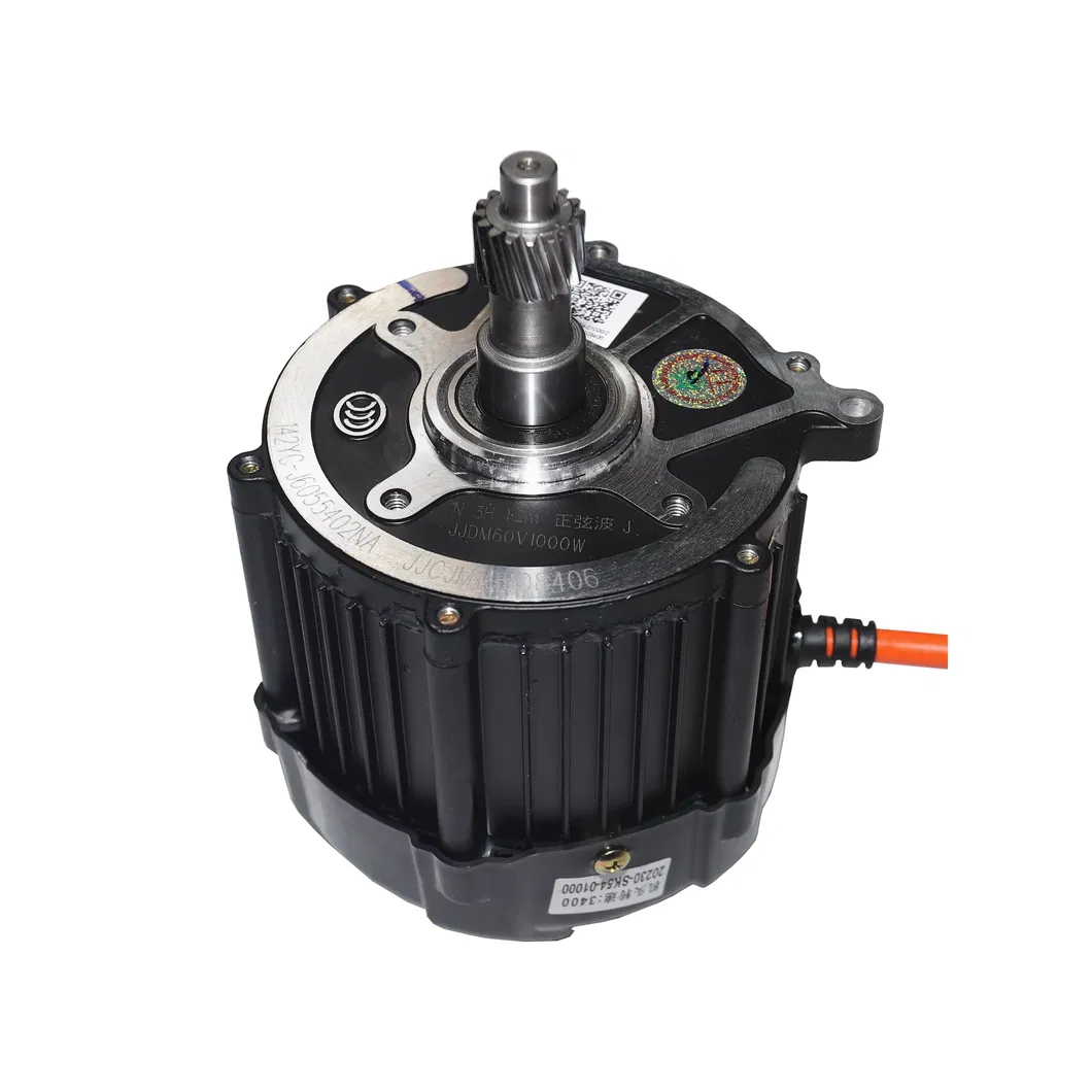 E-Rickshaw BLDC Motor