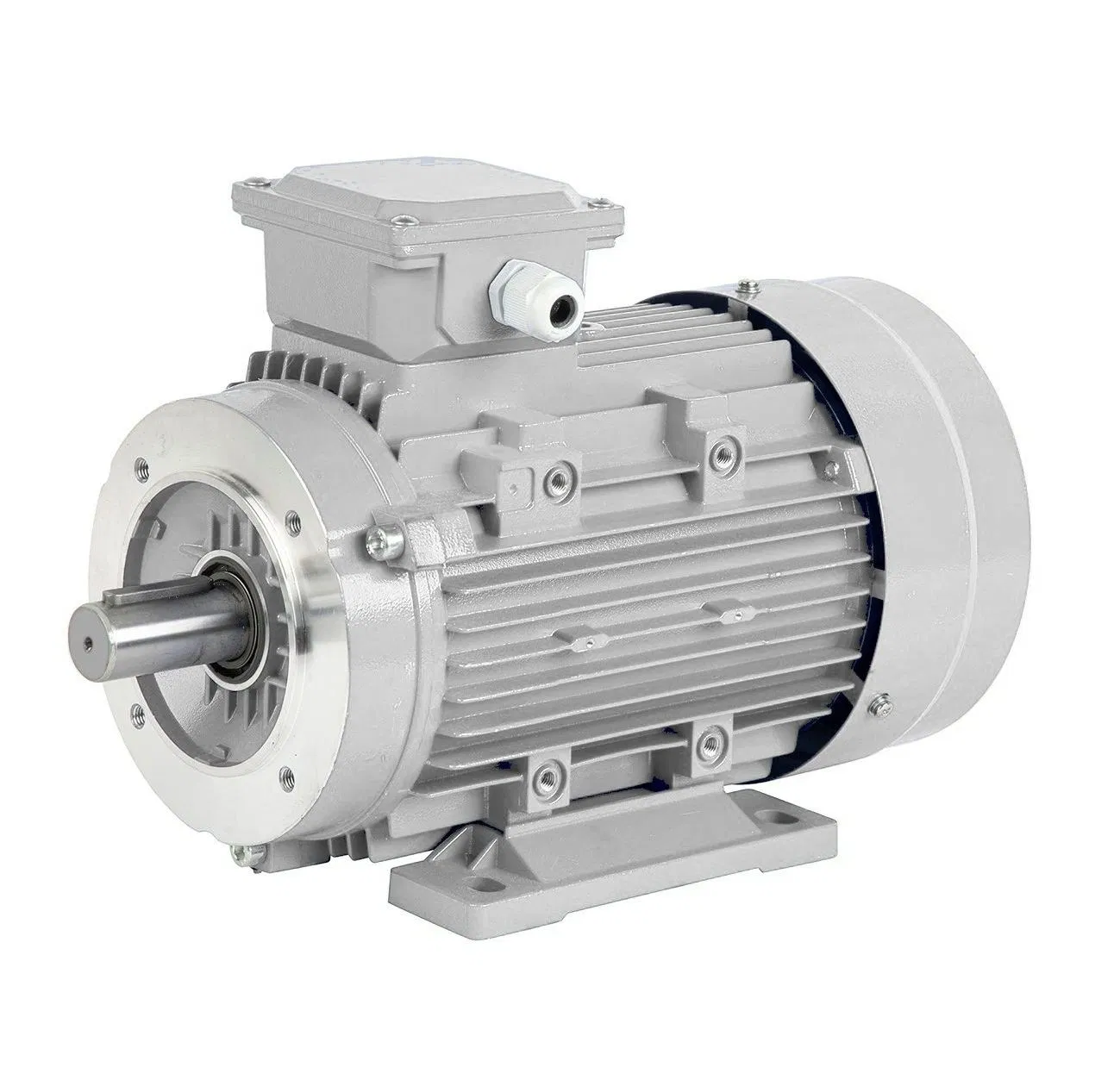 B5-B14-B3 Flange Mounted Electrical Drive 2p-4p-6p-8p 220/380/400/415/440V 50Hz Single Three Phase Yvp VFD Brake Servo AC Fan Electric Motor