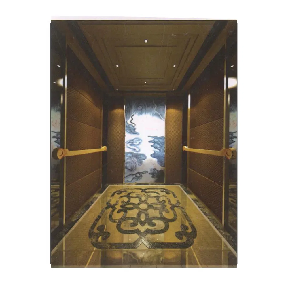 External Outside Passenger Elevator in China