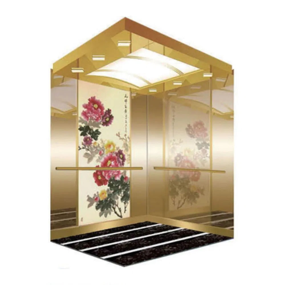 Small Home/ Villa Elevator for 4 Person Passenger Elevator