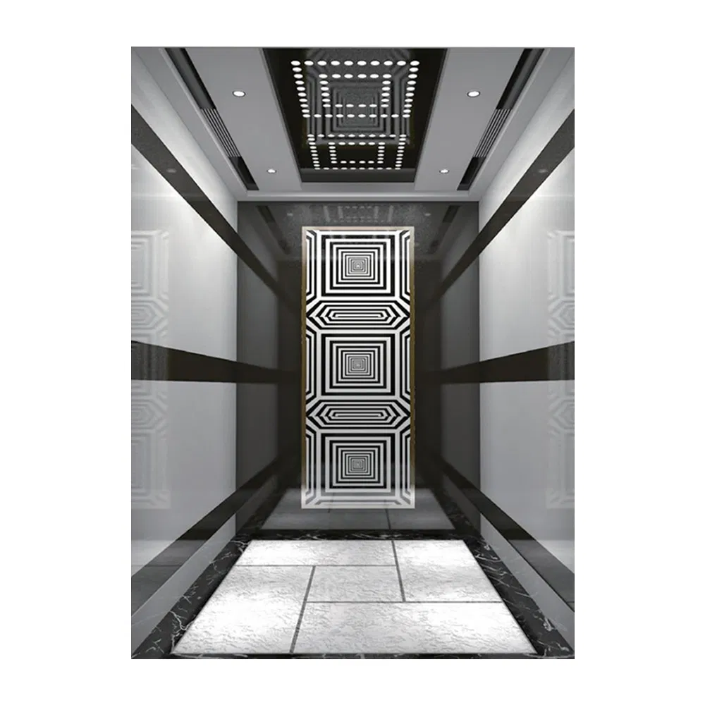 Cheap Outdoor Lift Hotel Elevators Price Small Elevator for 2 Person