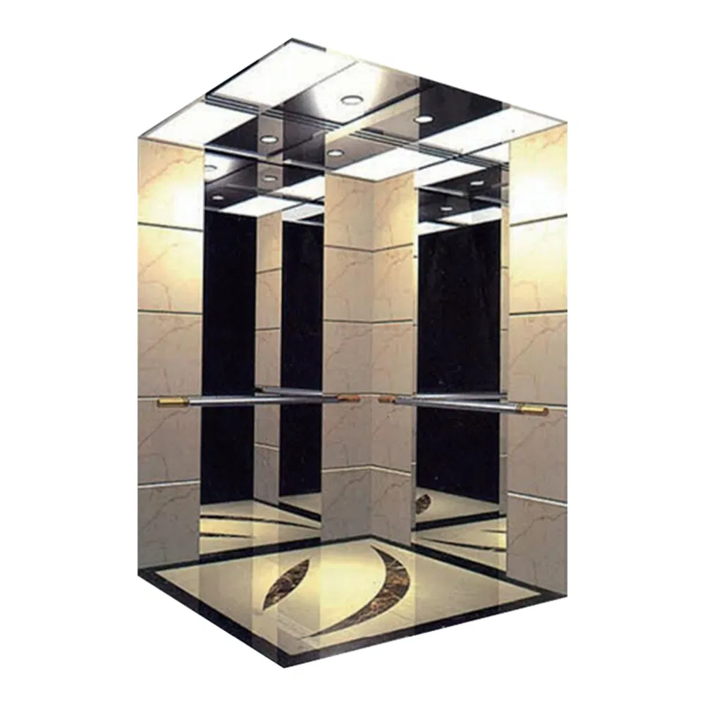 External Outside Passenger Elevator in China