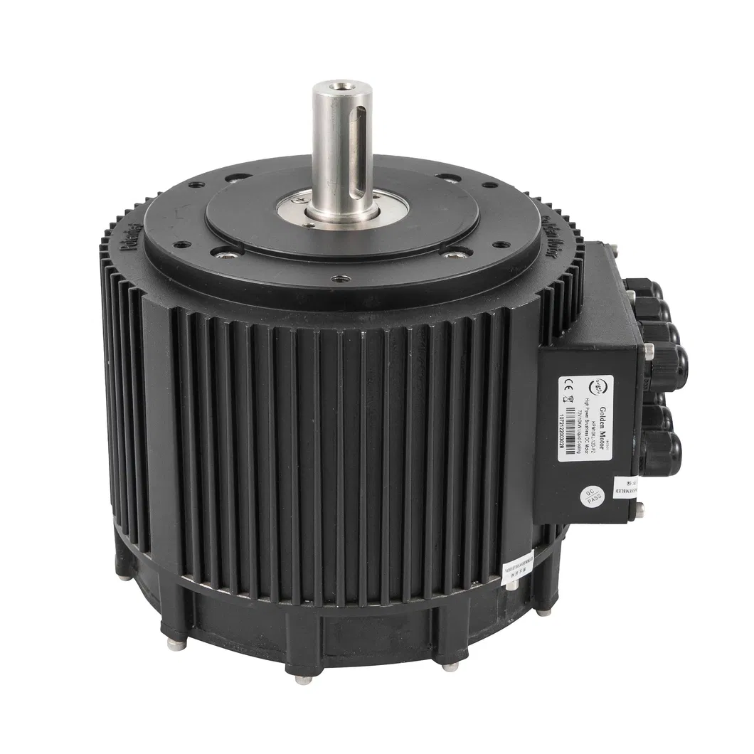 10KW Motor