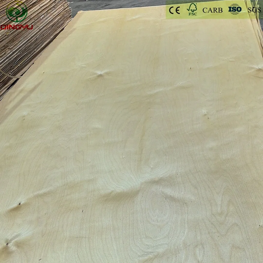 Birch Plywood Hardwood Core Eucalyptus Core