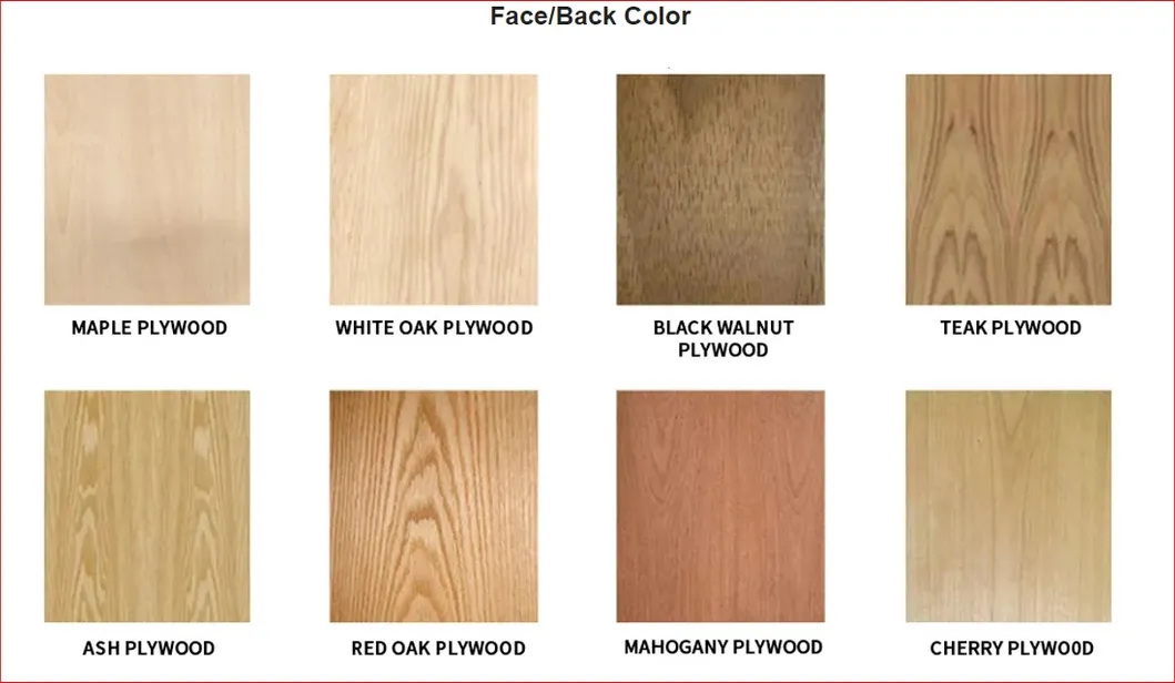 Face Back Colour
