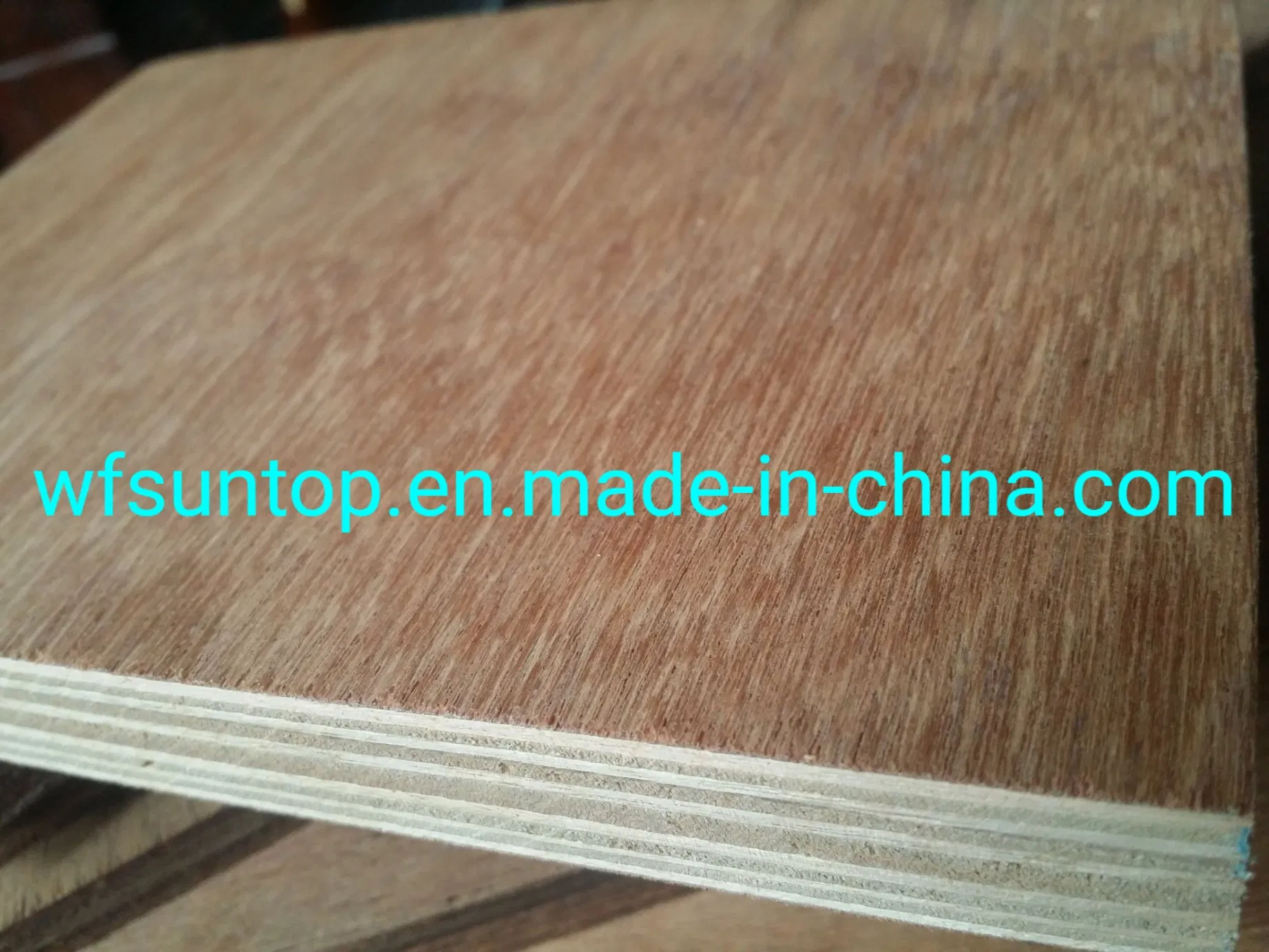 Good Quality Bintangor Veneer Face/Back Plywood Okoume Plywood Hardwood Plywood