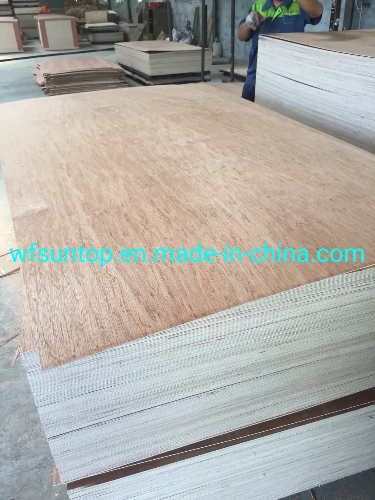 Good Quality Bintangor Veneer Face/Back Plywood Okoume Plywood Hardwood Plywood
