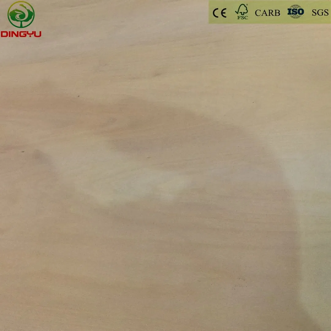 Birch Plywood Hardwood Core Eucalyptus Core