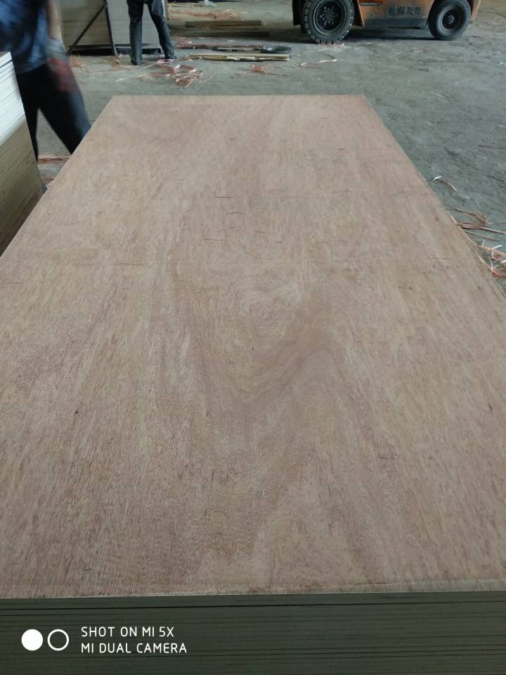 Hot Sale Red Meranti Plywood Poplar Hardwood Core