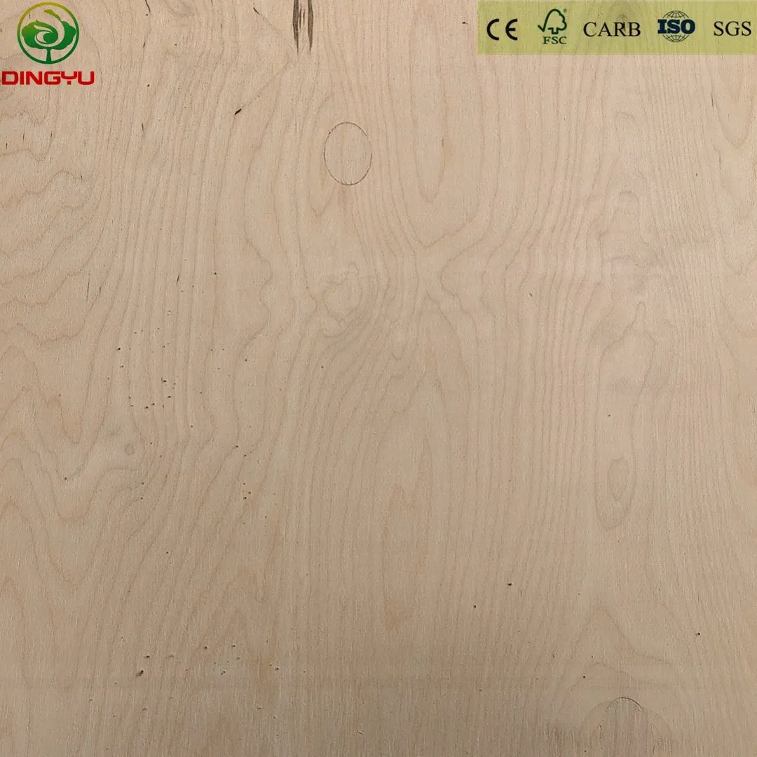 Birch Plywood Hardwood Core Eucalyptus Core