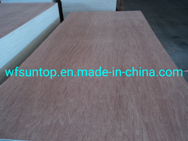 Good Quality Bintangor Veneer Face/Back Plywood Okoume Plywood Hardwood Plywood