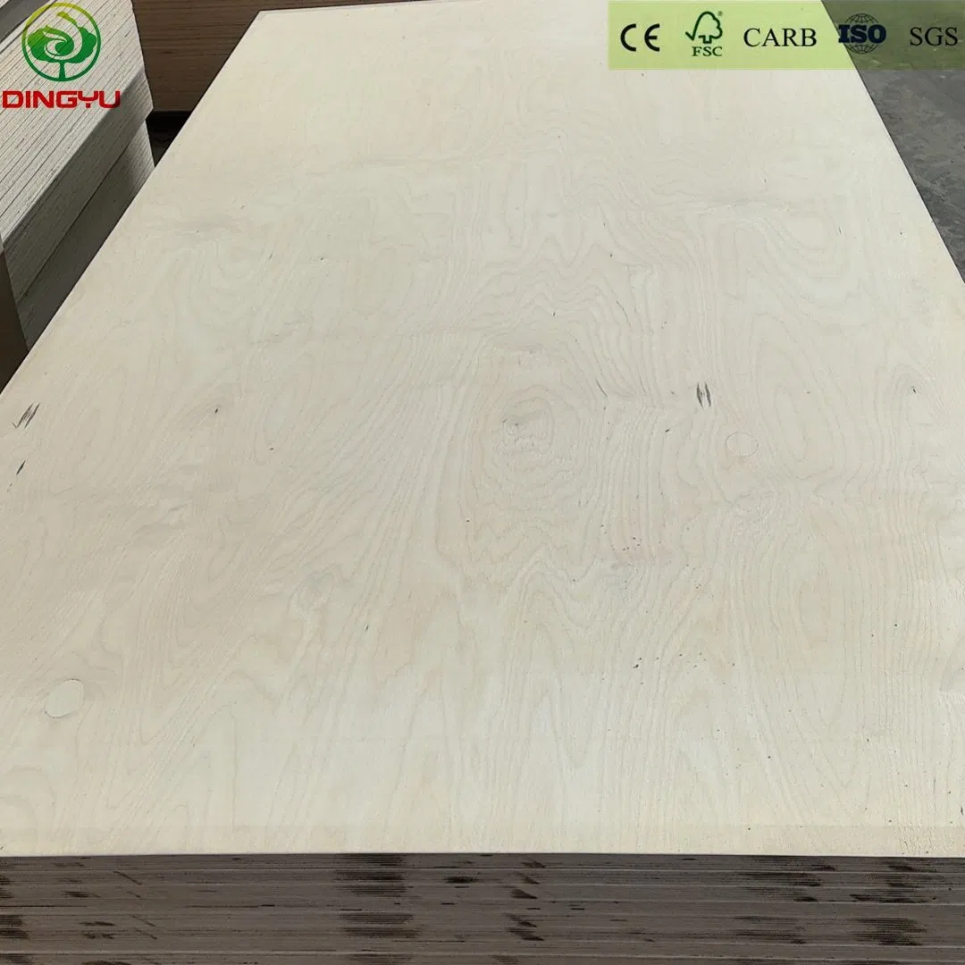 Birch Plywood Hardwood Core Eucalyptus Core