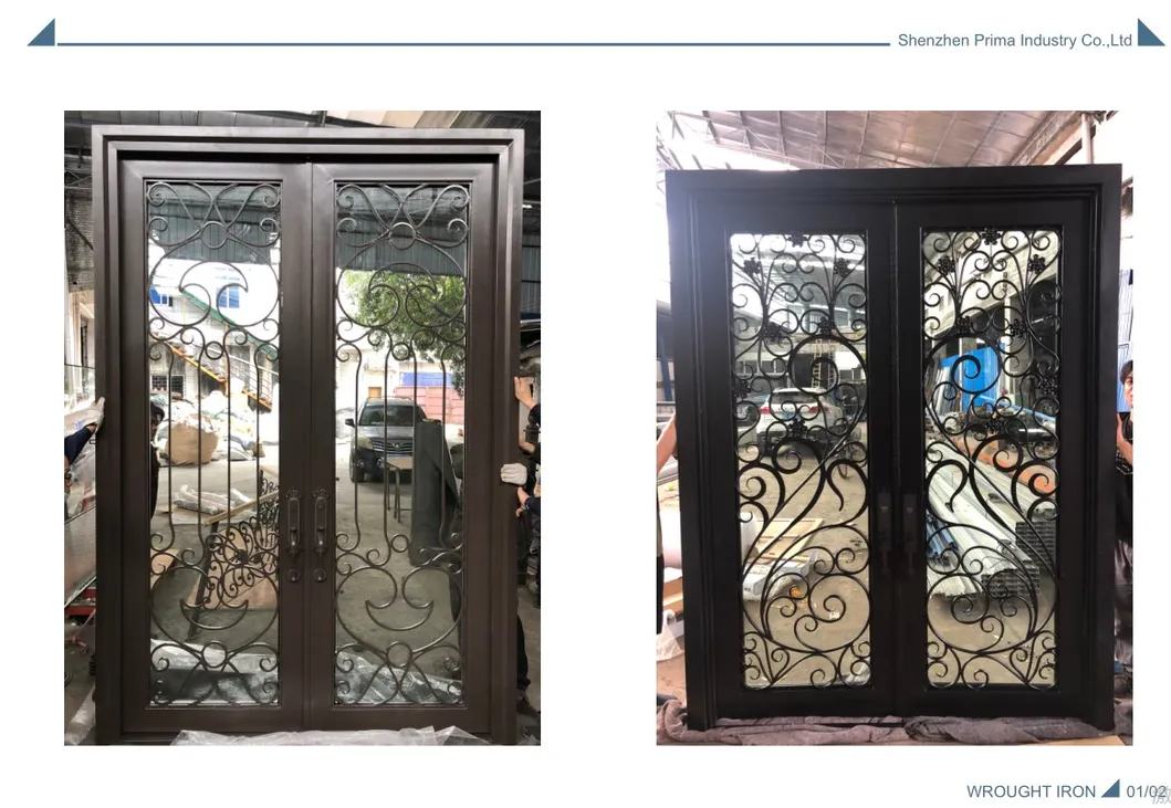 Wrought Iron Door Designs