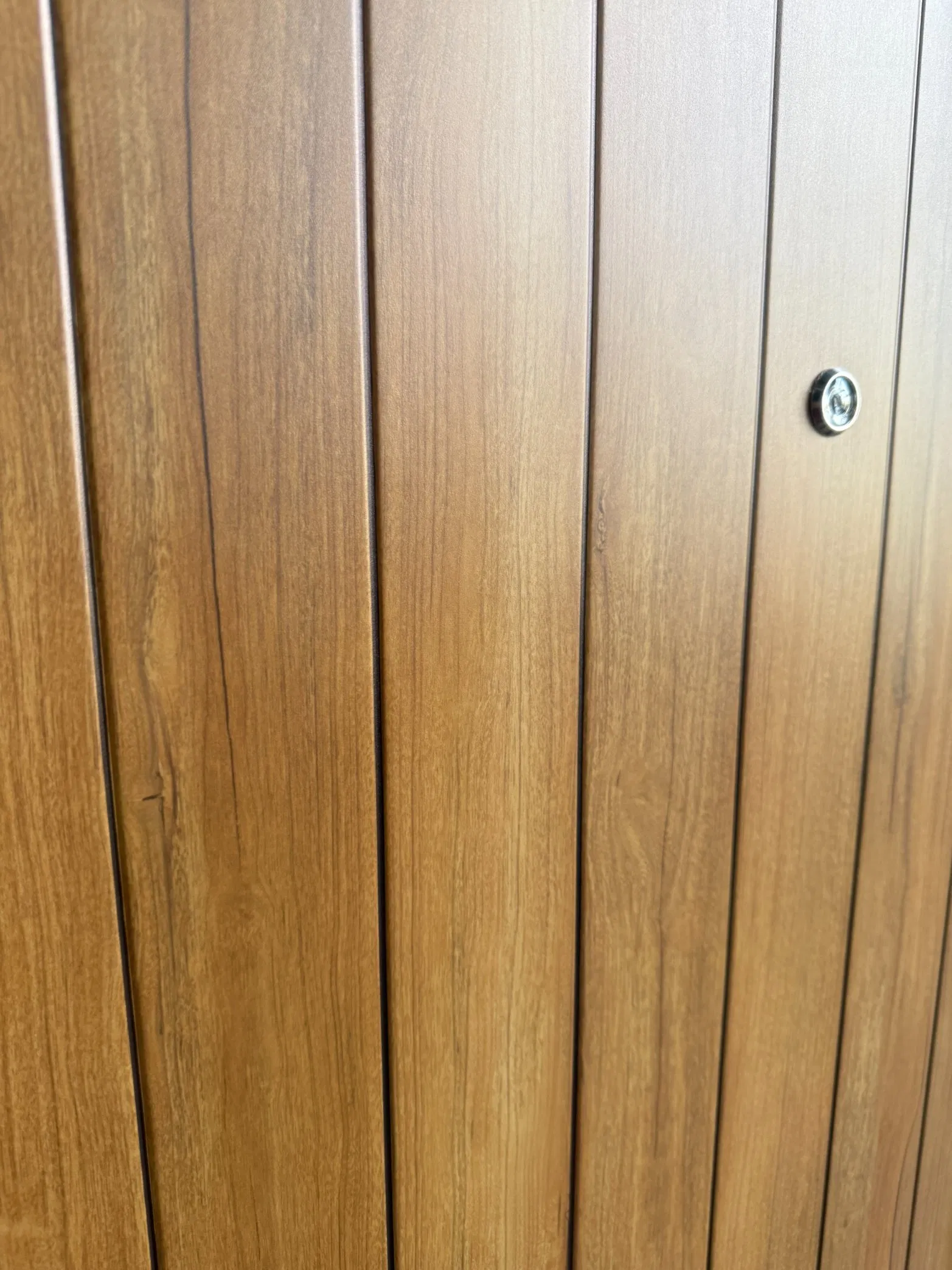 Modern Design Exterior Steel Storm Front Entry Metal Doors